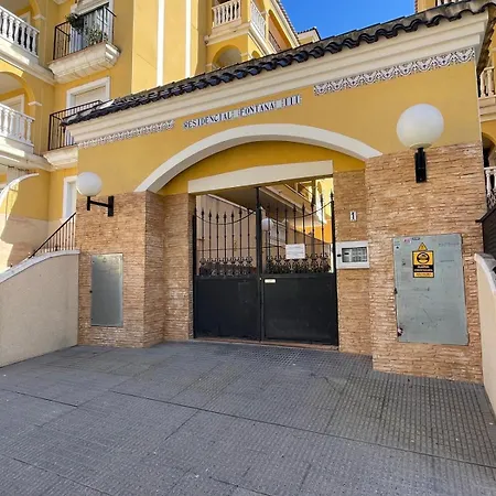 S&f- * אלגורפה